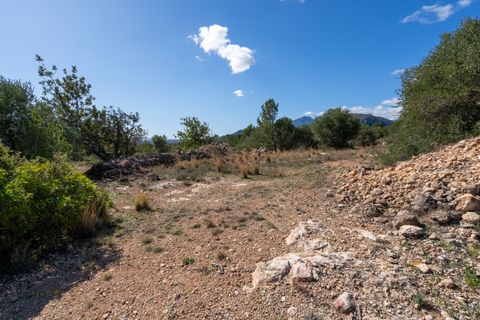 Farm hus i Xerta, Tarragona, Xerta - € 70.000 | Ref: 25 - foto 47