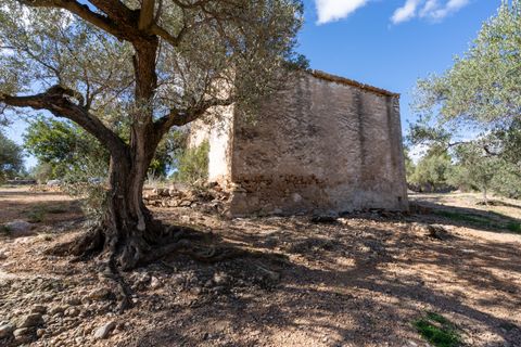 Farm hus i Xerta, Tarragona, Xerta - € 70.000 | Ref: 25 - foto 3