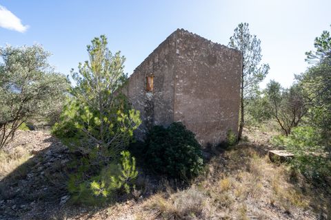 Farm hus i Xerta, Tarragona, Xerta - € 70.000 | Ref: 25 - foto 22