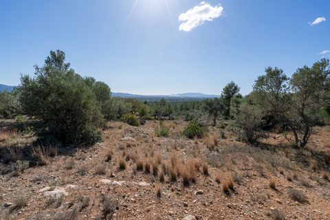 Farm hus i Xerta, Tarragona, Xerta - € 70.000 | Ref: 25 - foto 44