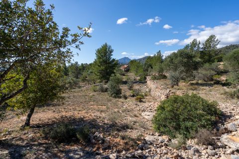 Farm hus i Xerta, Tarragona, Xerta - € 70.000 | Ref: 25 - foto 43