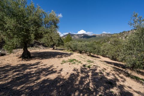 Farm hus i Xerta, Tarragona, Xerta - € 70.000 | Ref: 25 - foto 18