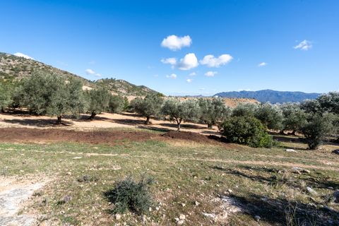 Farm hus i Xerta, Tarragona, Xerta - € 70.000 | Ref: 25 - foto 20