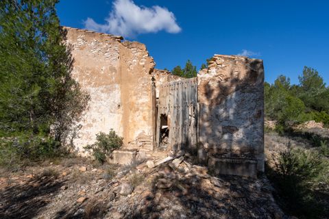 Farm hus i Xerta, Tarragona, Xerta - € 70.000 | Ref: 25 - foto 28