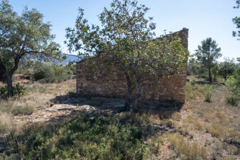 Farm hus i Xerta, Tarragona, Xerta - € 70.000 | Ref: 25 - foto 36