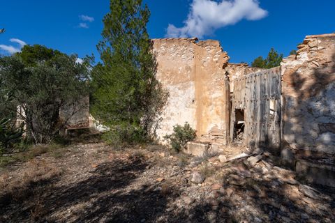 Farm hus i Xerta, Tarragona, Xerta - € 70.000 | Ref: 25 - foto 24
