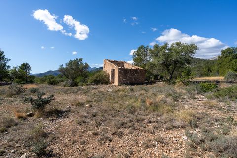 Farm hus i Xerta, Tarragona, Xerta - € 70.000 | Ref: 25 - foto 42