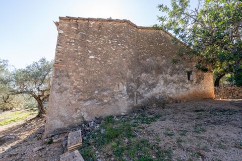 Farm hus i Xerta, Tarragona, Xerta - € 70.000 | Ref: 25 - foto 4