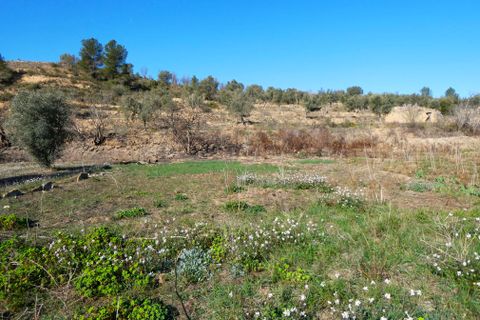 Finca i Calaceite, Teruel, Calaceite - € 24 000 | Ref: 0997 - foto 18