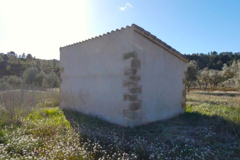 Finca i Calaceite, Teruel, Calaceite - € 24 000 | Ref: 0997 - foto 8