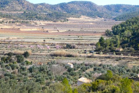 Finca i Calaceite, Teruel, Calaceite - € 24 000 | Ref: 0997 - foto 21