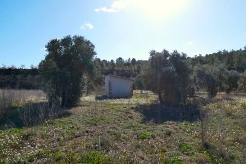 Finca i Calaceite, Teruel, Calaceite - € 24 000 | Ref: 0997 - foto 20