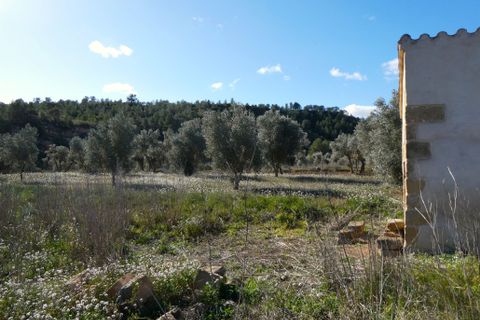 Finca i Calaceite, Teruel, Calaceite - € 24 000 | Ref: 0997 - foto 17