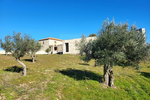 Farm i Possacos, Vila Real, Possacos - € 1.200.000 | Ref: PRT11526 - foto 1