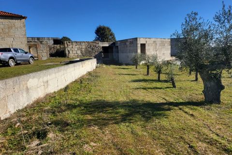 Farm i Possacos, Vila Real, Possacos - € 1.200.000 | Ref: PRT11526 - foto 8