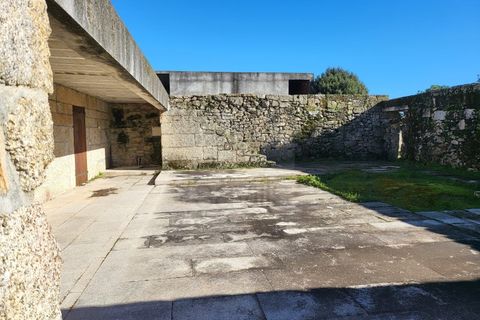 Farm i Possacos, Vila Real, Possacos - € 1.200.000 | Ref: PRT11526 - foto 10