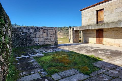 Farm i Possacos, Vila Real, Possacos - € 1.200.000 | Ref: PRT11526 - foto 11