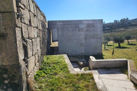 Farm i Possacos, Vila Real, Possacos - € 1.200.000 | Ref: PRT11526 - foto 12