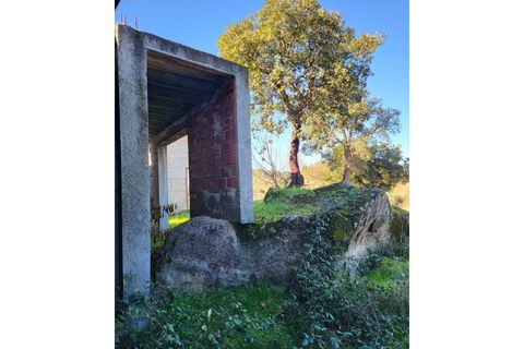 Farm i Possacos, Vila Real, Possacos - € 1.200.000 | Ref: PRT11526 - foto 14