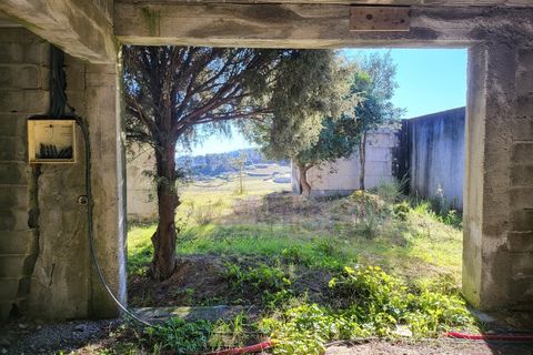 Farm i Possacos, Vila Real, Possacos - € 1.200.000 | Ref: PRT11526 - foto 15