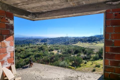 Farm i Possacos, Vila Real, Possacos - € 1.200.000 | Ref: PRT11526 - foto 17