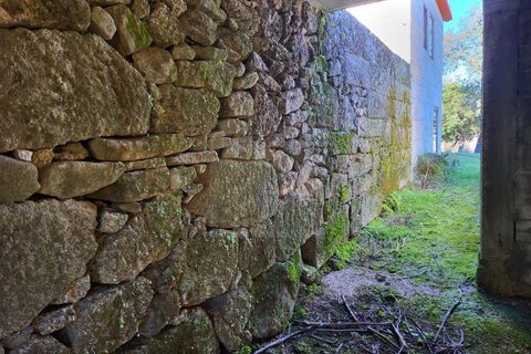 Farm i Possacos, Vila Real, Possacos - € 1.200.000 | Ref: PRT11526 - foto 19