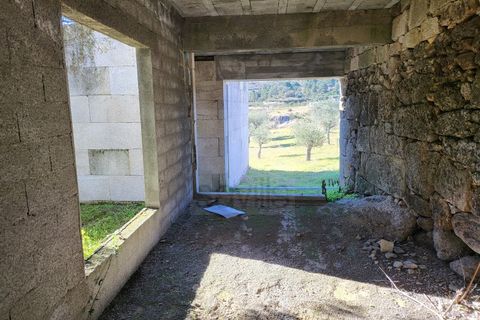 Farm i Possacos, Vila Real, Possacos - € 1.200.000 | Ref: PRT11526 - foto 21