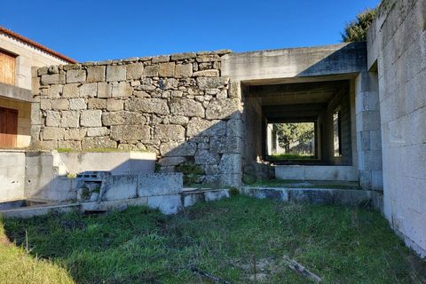 Farm i Possacos, Vila Real, Possacos - € 1.200.000 | Ref: PRT11526 - foto 22
