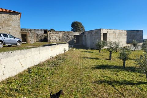 Farm i Possacos, Vila Real, Possacos - € 1.200.000 | Ref: PRT11526 - foto 24
