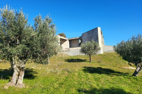 Farm i Possacos, Vila Real, Possacos - € 1.200.000 | Ref: PRT11526 - foto 25