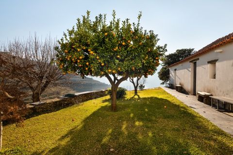 Farm i Ervedosa do Douro, Viseu, Ervedosa do Douro - € 1.750.000 | Ref: SAVPRT10024 - foto 2