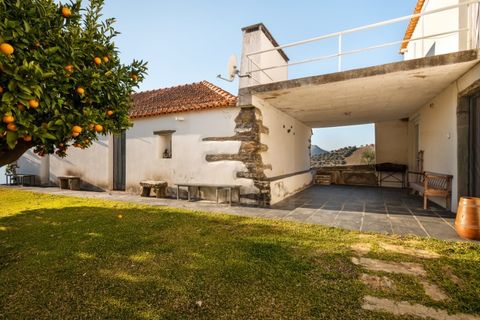 Farm i Ervedosa do Douro, Viseu, Ervedosa do Douro - € 1.750.000 | Ref: SAVPRT10024 - foto 3