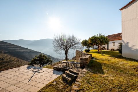 Farm i Ervedosa do Douro, Viseu, Ervedosa do Douro - € 1.750.000 | Ref: SAVPRT10024 - foto 4