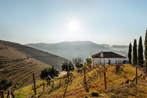Farm i Ervedosa do Douro, Viseu, Ervedosa do Douro - € 1.750.000 | Ref: SAVPRT10024 - foto 5