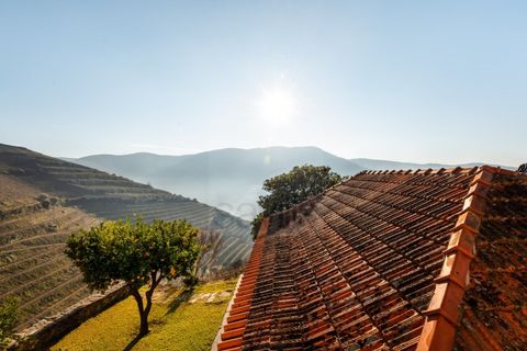 Farm i Ervedosa do Douro, Viseu, Ervedosa do Douro - € 1.750.000 | Ref: SAVPRT10024 - foto 7