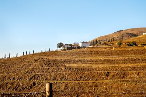 Farm i Ervedosa do Douro, Viseu, Ervedosa do Douro - € 1.750.000 | Ref: SAVPRT10024 - foto 12