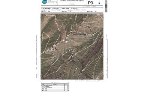 Farm i Ervedosa do Douro, Viseu, Ervedosa do Douro - € 1.750.000 | Ref: SAVPRT10024 - foto 16