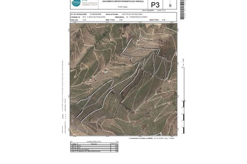 Farm i Ervedosa do Douro, Viseu, Ervedosa do Douro - € 1.750.000 | Ref: SAVPRT10024 - foto 19