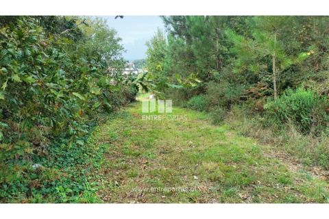 Helårsgrund i Valenca, Viana do Castelo, Valenca - € 109.000 | Ref: C02722 - foto 5