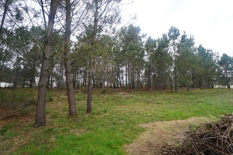 Terra a Gandra e Taiao, Viana do Castelo, Gandra e Taiao - € 150.000 | Ref: 4075 - foto 2