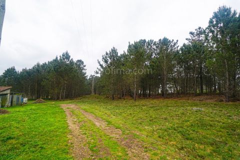 Terra a Gandra e Taiao, Viana do Castelo, Gandra e Taiao - € 150.000 | Ref: 4075 - foto 3