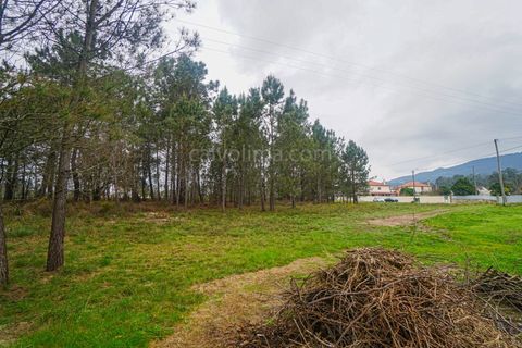 Terra a Gandra e Taiao, Viana do Castelo, Gandra e Taiao - € 150.000 | Ref: 4075 - foto 4