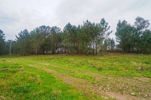 Terra a Gandra e Taiao, Viana do Castelo, Gandra e Taiao - € 150.000 | Ref: 4075 - foto 5