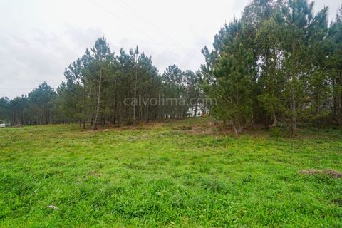 Terra a Gandra e Taiao, Viana do Castelo, Gandra e Taiao - € 150.000 | Ref: 4075 - foto 6