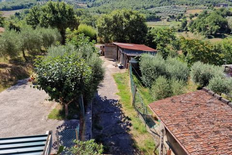 Byhus i Piegaro, Perugia, Piegaro - € 150.000 | Ref: PG1663 - foto 4