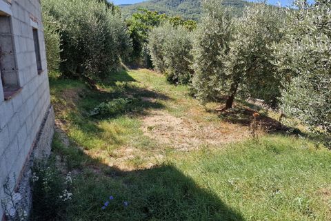 Byhus i Piegaro, Perugia, Piegaro - € 150.000 | Ref: PG1663 - foto 44