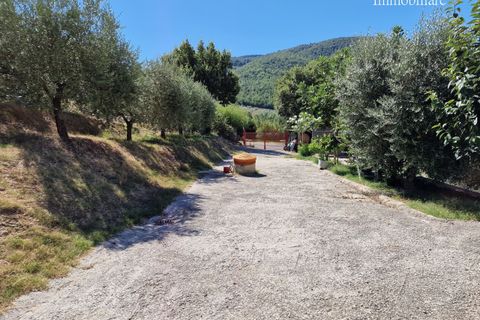 Byhus i Piegaro, Perugia, Piegaro - € 150.000 | Ref: PG1663 - foto 45