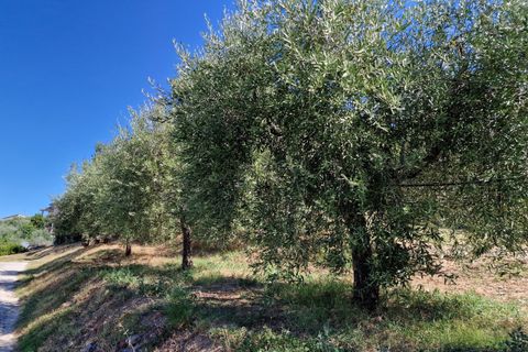 Byhus i Piegaro, Perugia, Piegaro - € 150.000 | Ref: PG1663 - foto 50