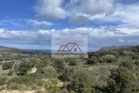 Leilighet i Lozari, Haute-Corse, Lozari - € 1 989 750 | Ref: 84280324 - foto 2