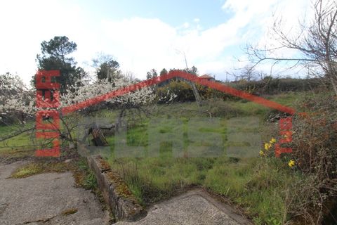 Villa i Curopos e Vale de Janeiro, Braganca, Curopos e Vale de Janeiro - € 65.000 | Ref: 22709/14358 - foto 15
